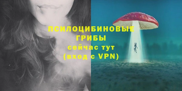 гидра Алексеевка