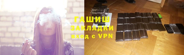 индика Михайловск