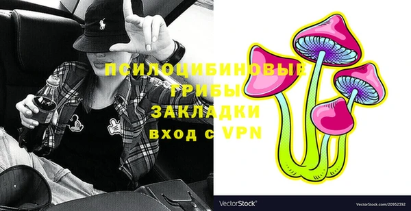 гидра Алексеевка