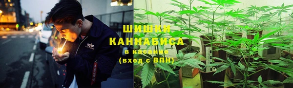гидра Алексеевка